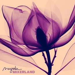 альбом группы MIXERLAND Magnolia (mp3 скачать, мр3, слушать музыку, альбом, скачать mp3, скачать и слушать музыку,скачать mp3 альбом)